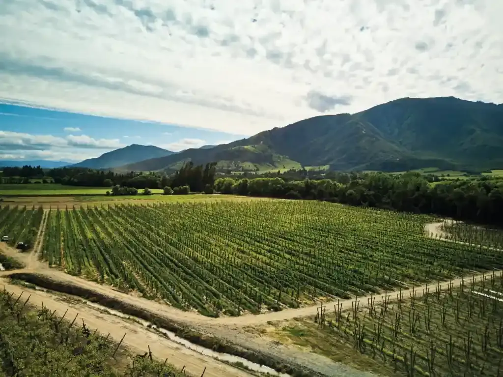 Sobre nuestra historia